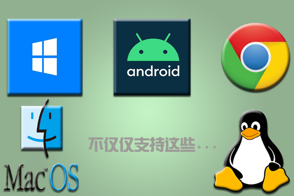 支持主流系统